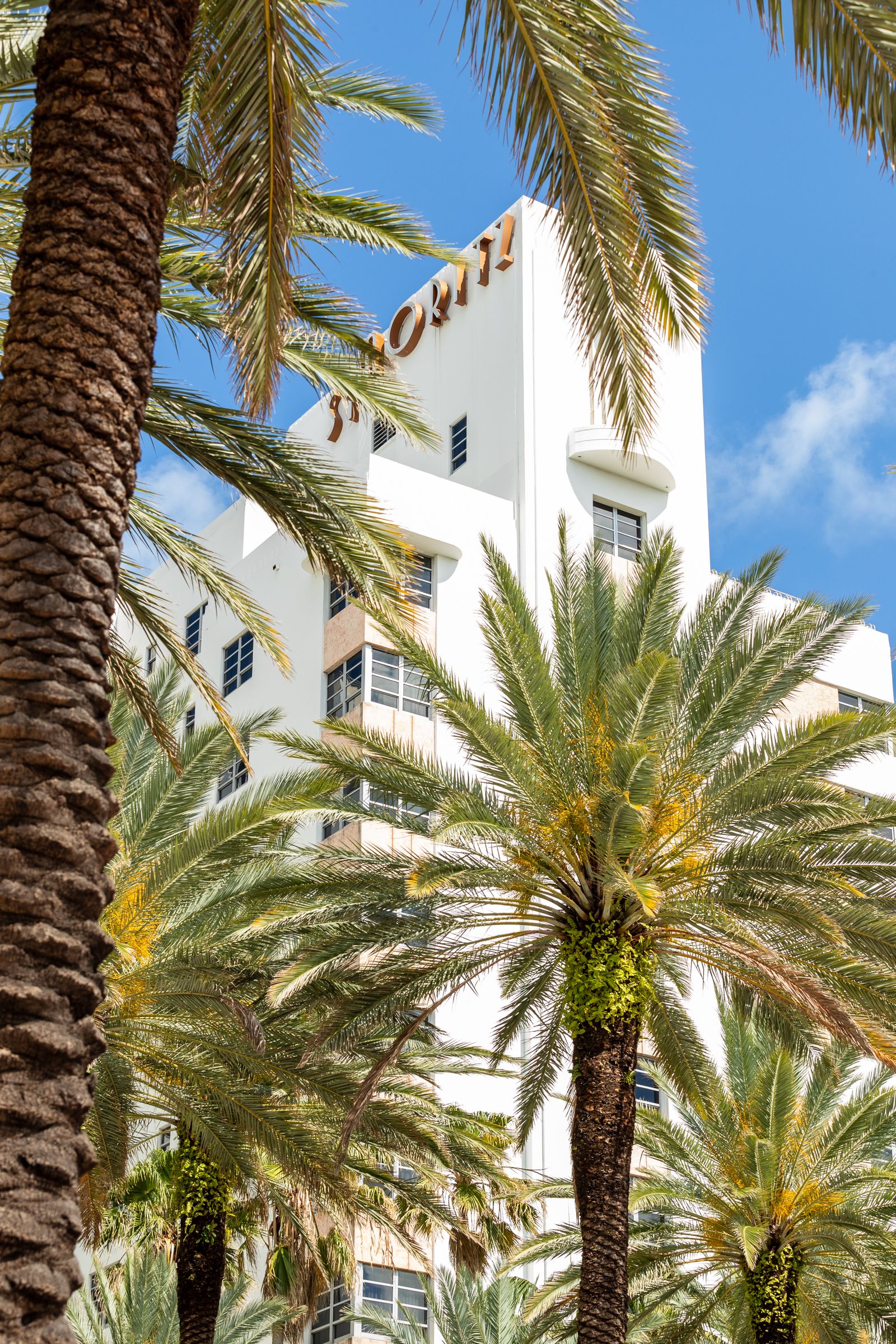 Un edificio Art Deco con palmeras en Miami Beach, el contexto arquitectónico alrededor de Indian Creek Drive