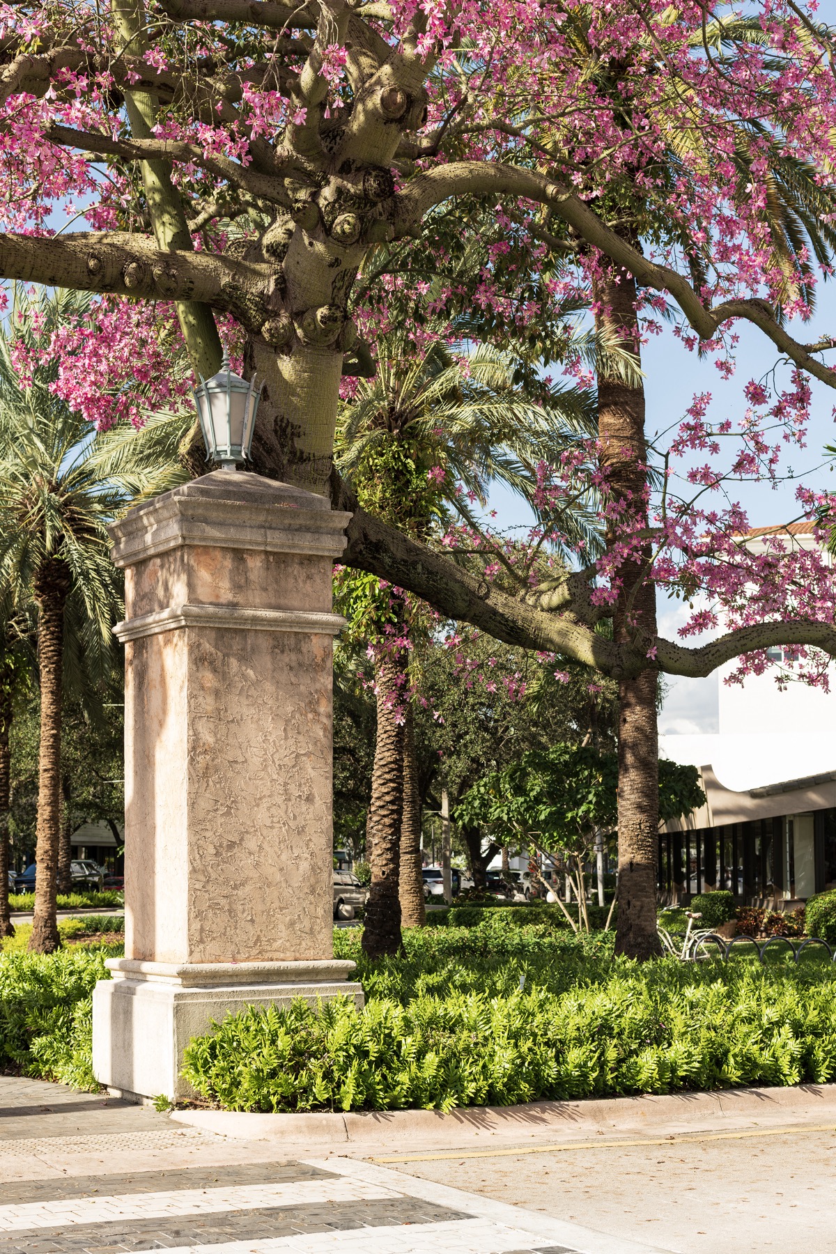 Coral Gables neighborhood around Cora Merrick Park near the Shops at Merrick Park
