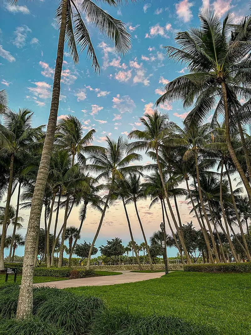 Caminos arbolados de North Beach cerca de NoBe Parc Miami Beach