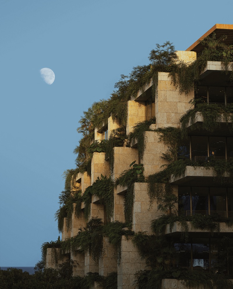 Ziggurat Coconut Grove rendering of the stepped residential and office buildings at Grand Avenue and Matilda Street