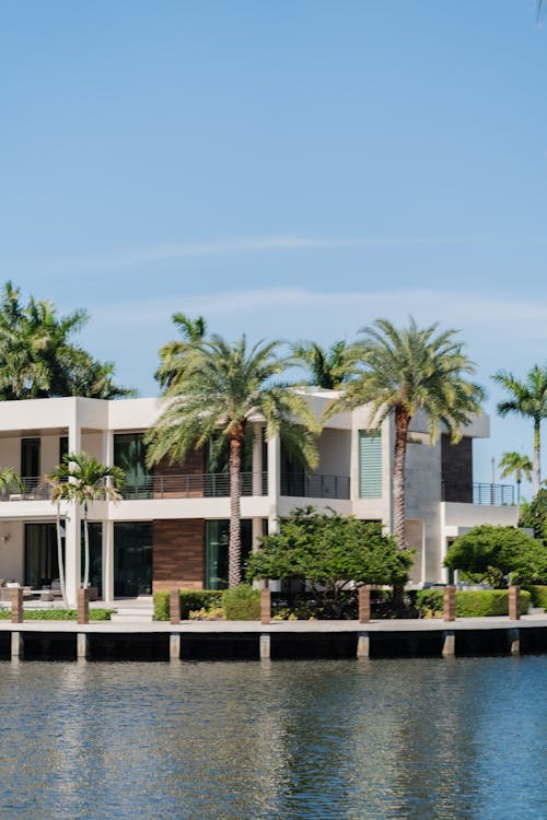 Casa de luxo à beira-mar com palmeiras em uma baía de Miami, representando os compradores à vista, internacionais e aposentados que mantêm estável a demanda de luxo de Miami o ano inteiro