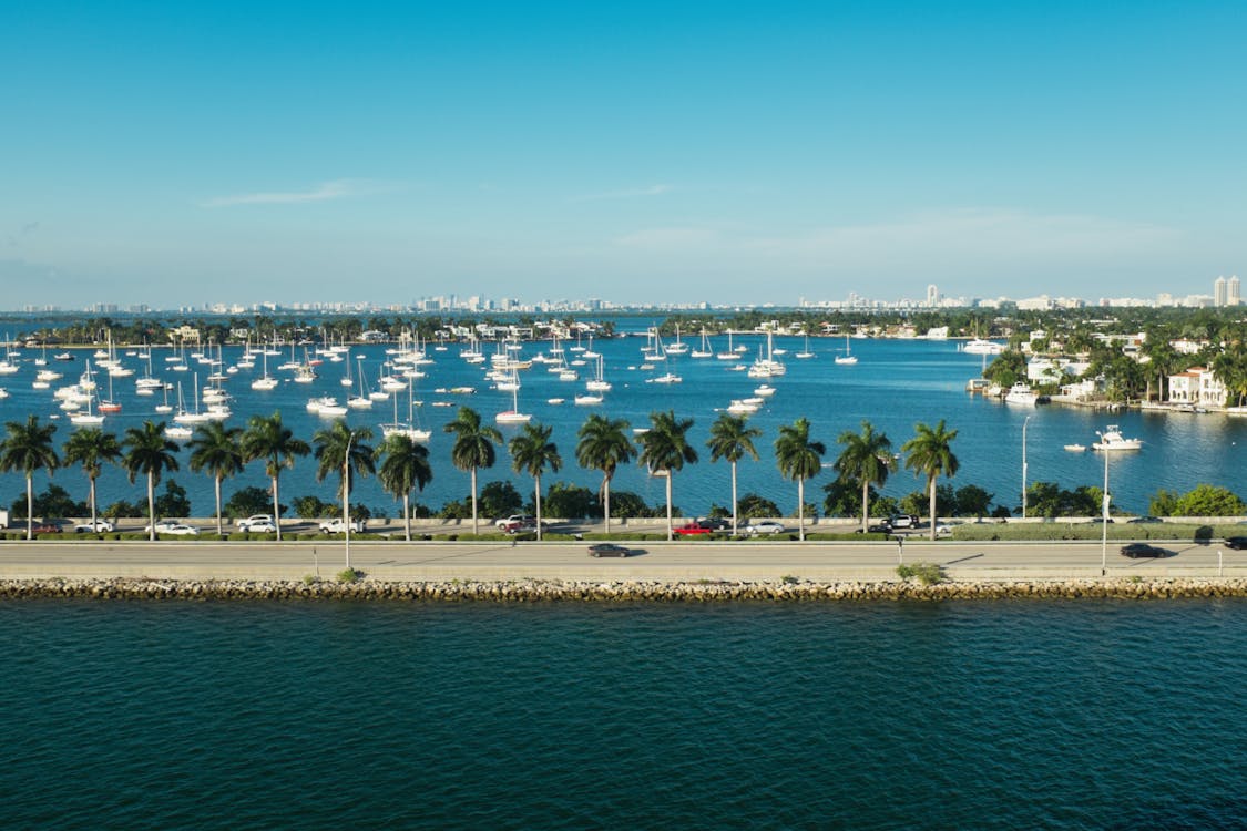 Orla de Coconut Grove sobre Biscayne Bay com veleiros e avenida ladeada de palmeiras em Miami