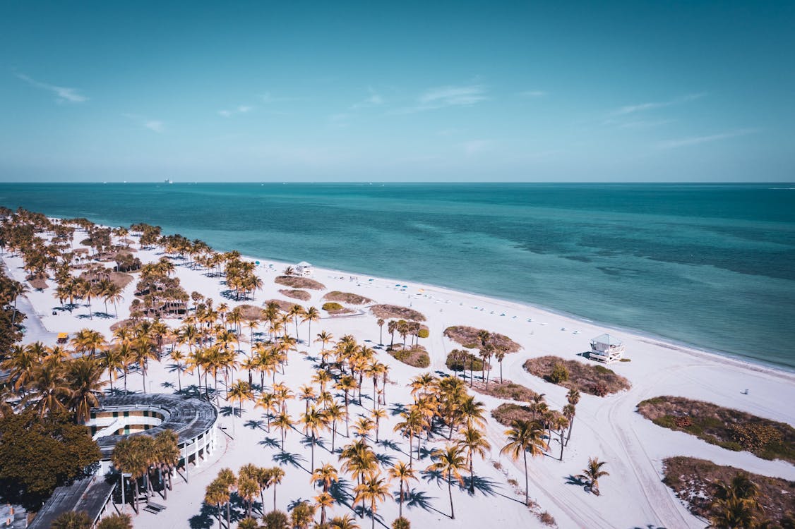 Vista aérea da praia de Key Biscayne com palmeiras e água turquesa do Atlântico em Miami