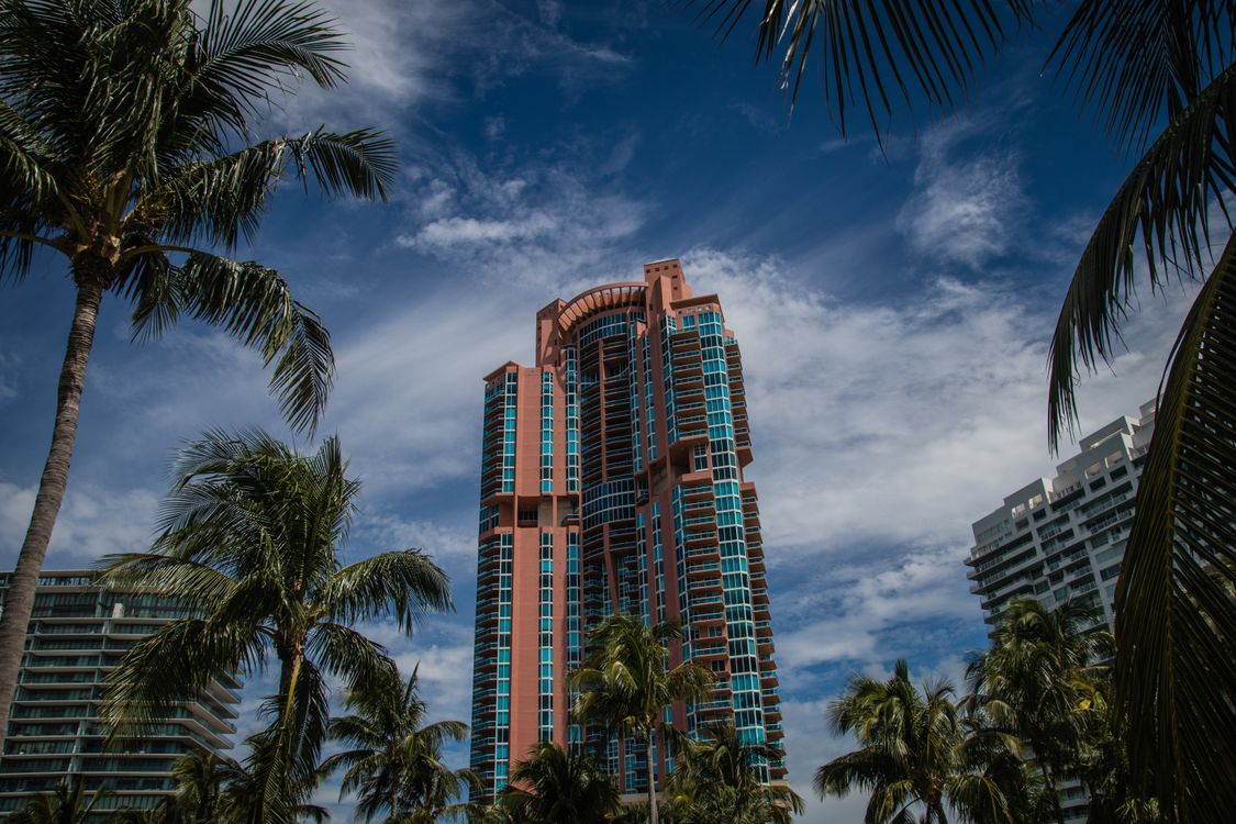 Torre de condomínios de luxo do sul da Flórida com palmeiras em West Palm Beach