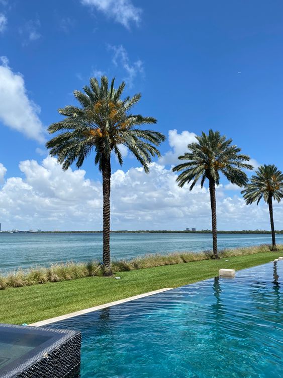Piscina de borda infinita e terraço de palmeiras com vista para a Baía de Biscayne em uma propriedade à beira-mar de Miami