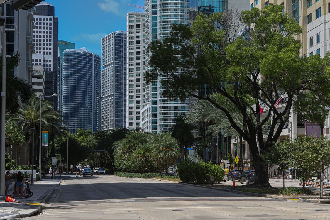 La avenida Brickell en Miami bordeada de torres residenciales y palmeras a nivel de calle