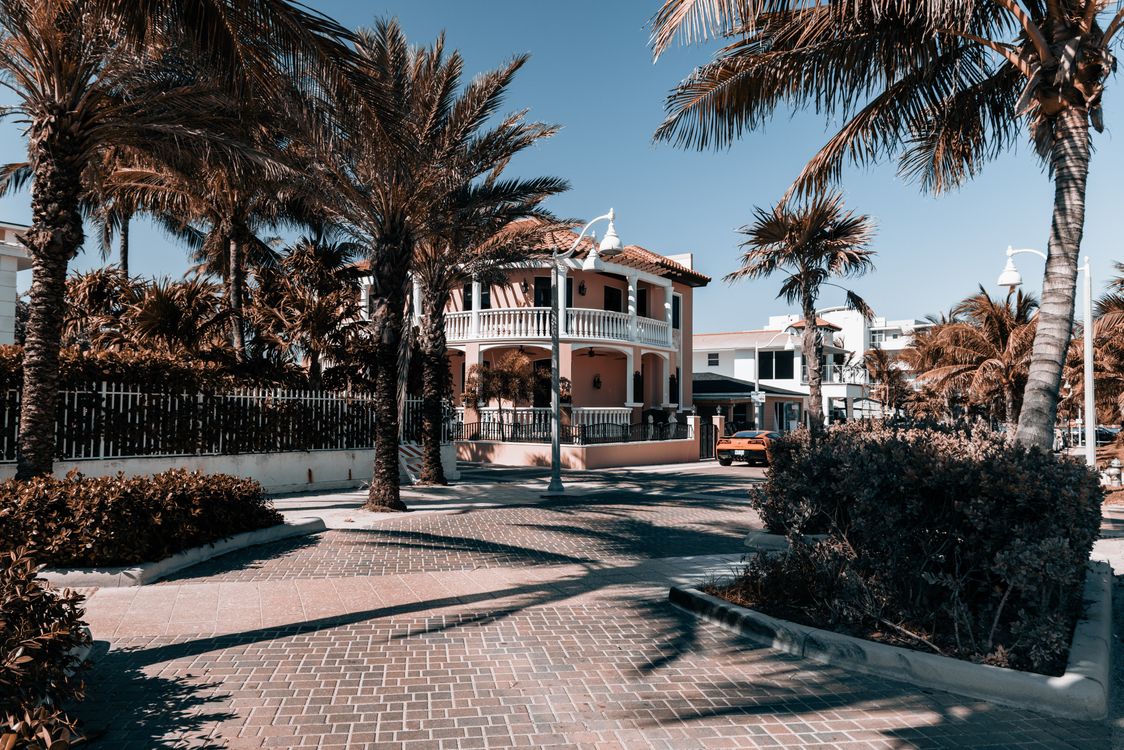 Calle residencial de baja altura con palmeras cerca de la A1A en Hollywood Beach, Florida