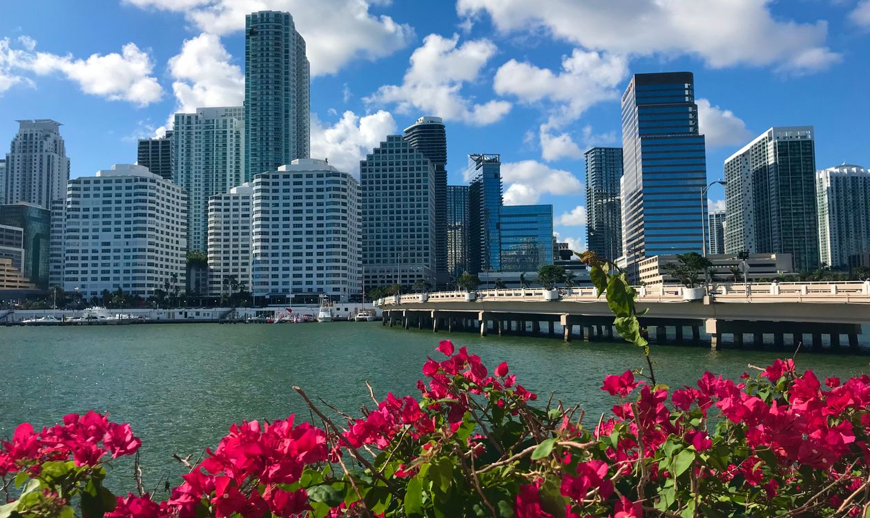 El puente de Brickell Key y el horizonte de Brickell en Miami vistos sobre el agua con buganvilias en primer plano