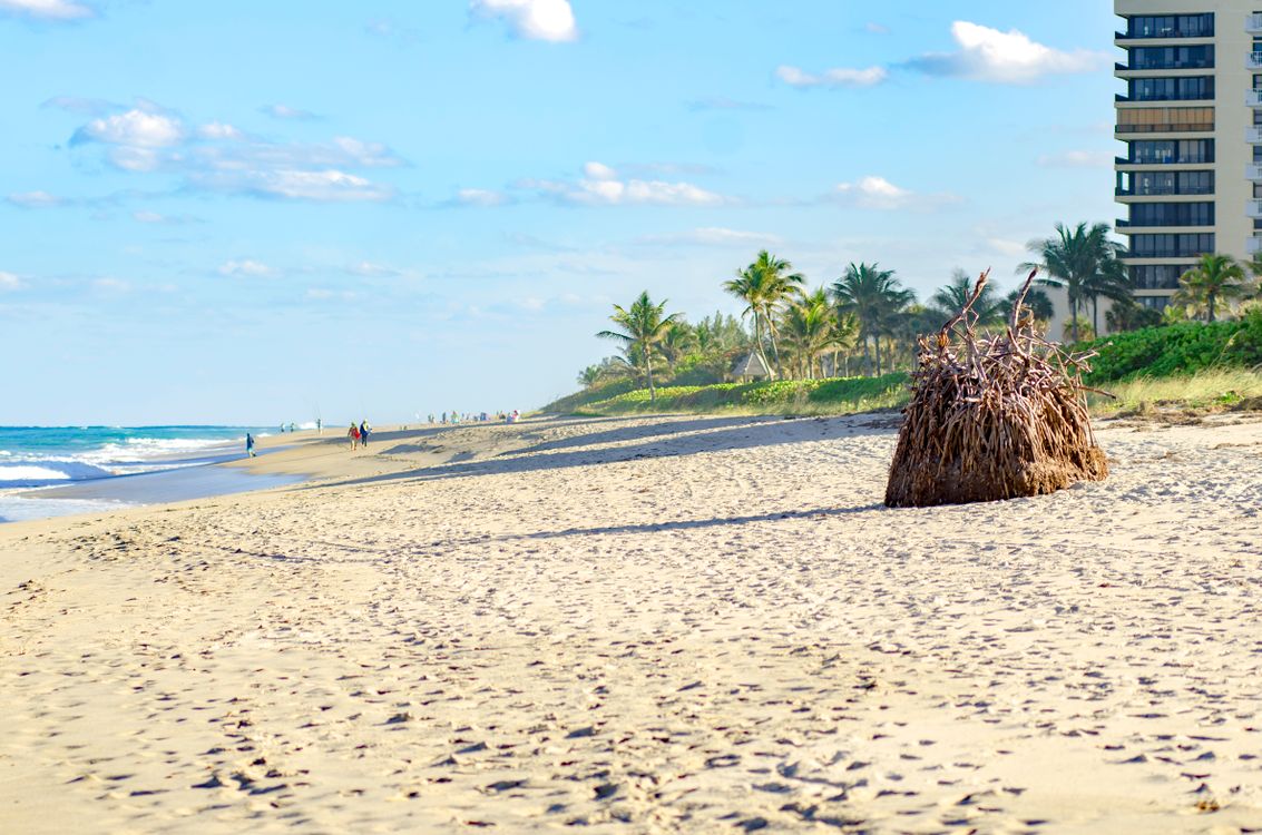 Praia à beira-mar do condado de Palm Beach com um prédio de condomínios de frente para o oceano e palmeiras-imperiais no sul da Flórida