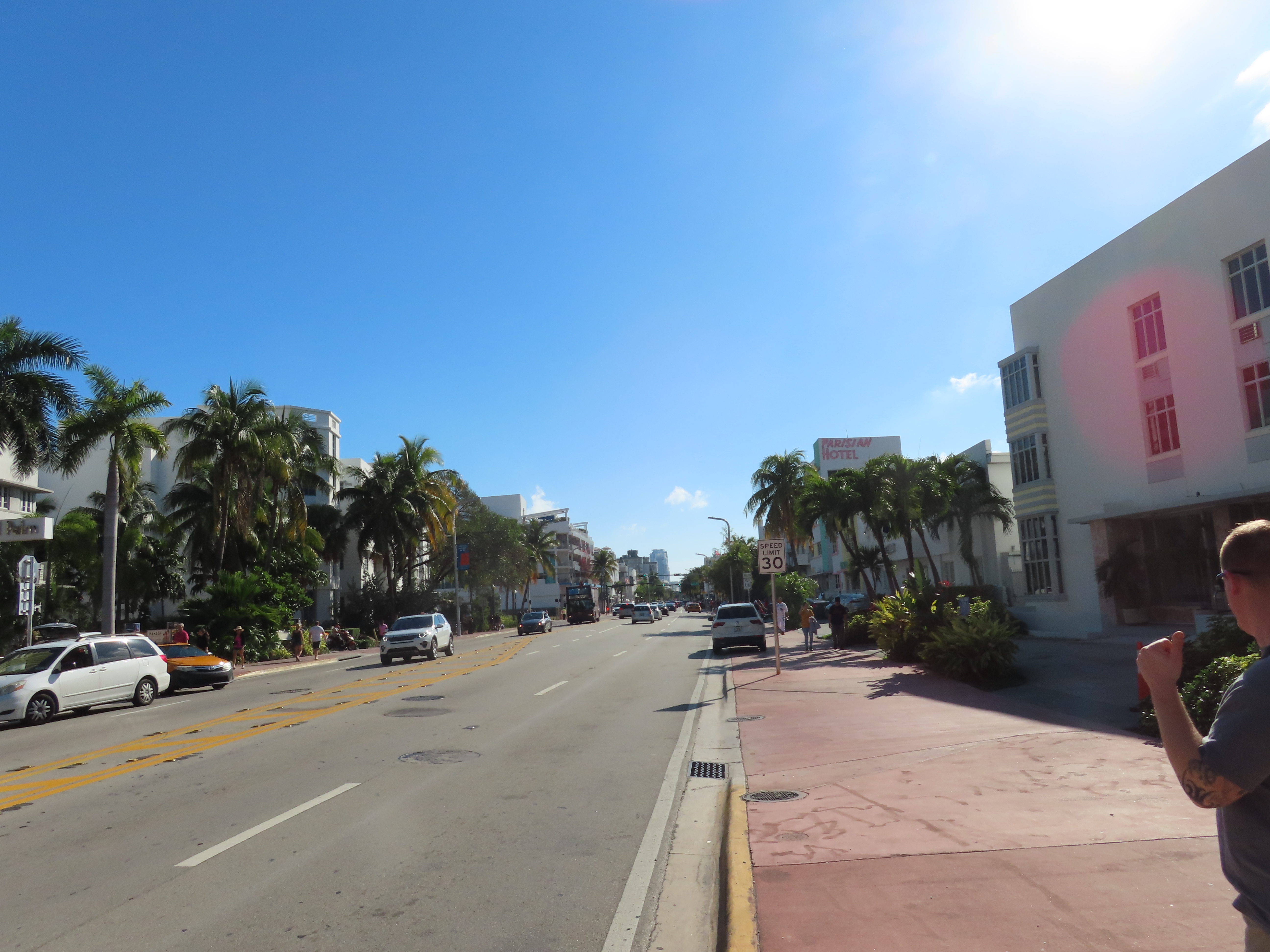 Collins Avenue in the South Beach Art Deco district lined with palm trees and historic hotels in Miami Beach
