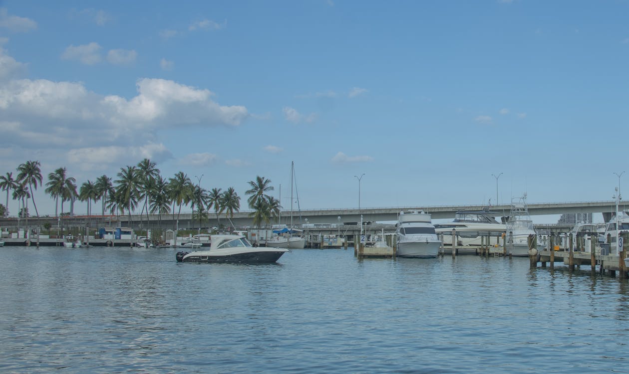 Coconut Grove Miami marina with yachts, palm trees, and Biscayne Bay waterfront