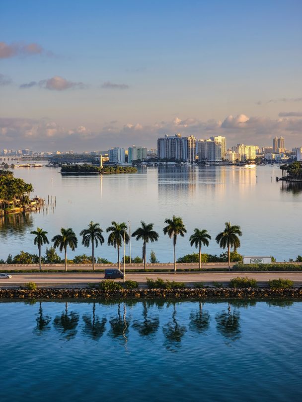Avenida frente a la bahía estilo Coconut Grove bordeada de palmeras al amanecer con una Biscayne Bay en calma, un horizonte bajo distante y reflejos de agua como espejo