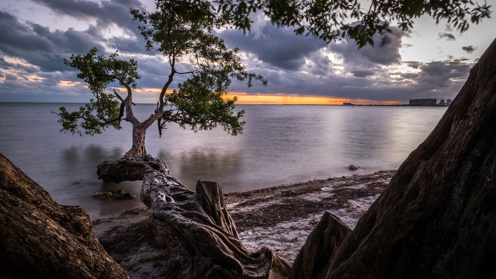 Costa de Key Biscayne ao pôr do sol com mangues e o perfil de Miami ao fundo