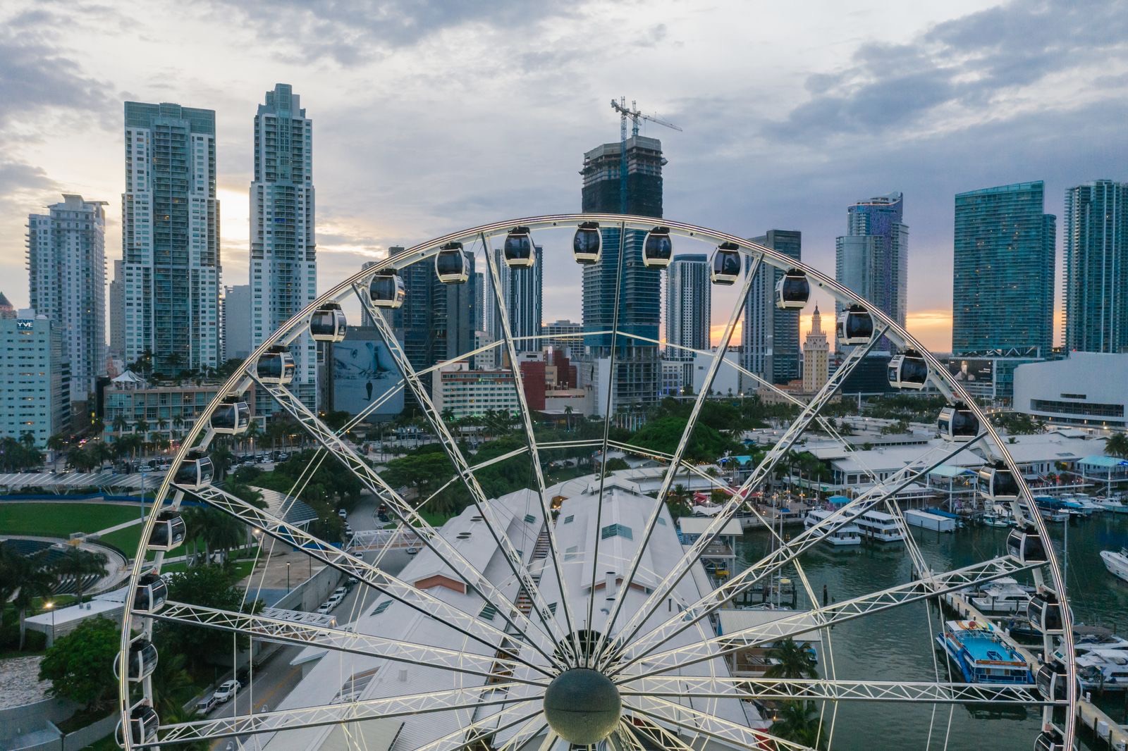 Miami high-rise buildings and Ferris wheel at dusk near downtown