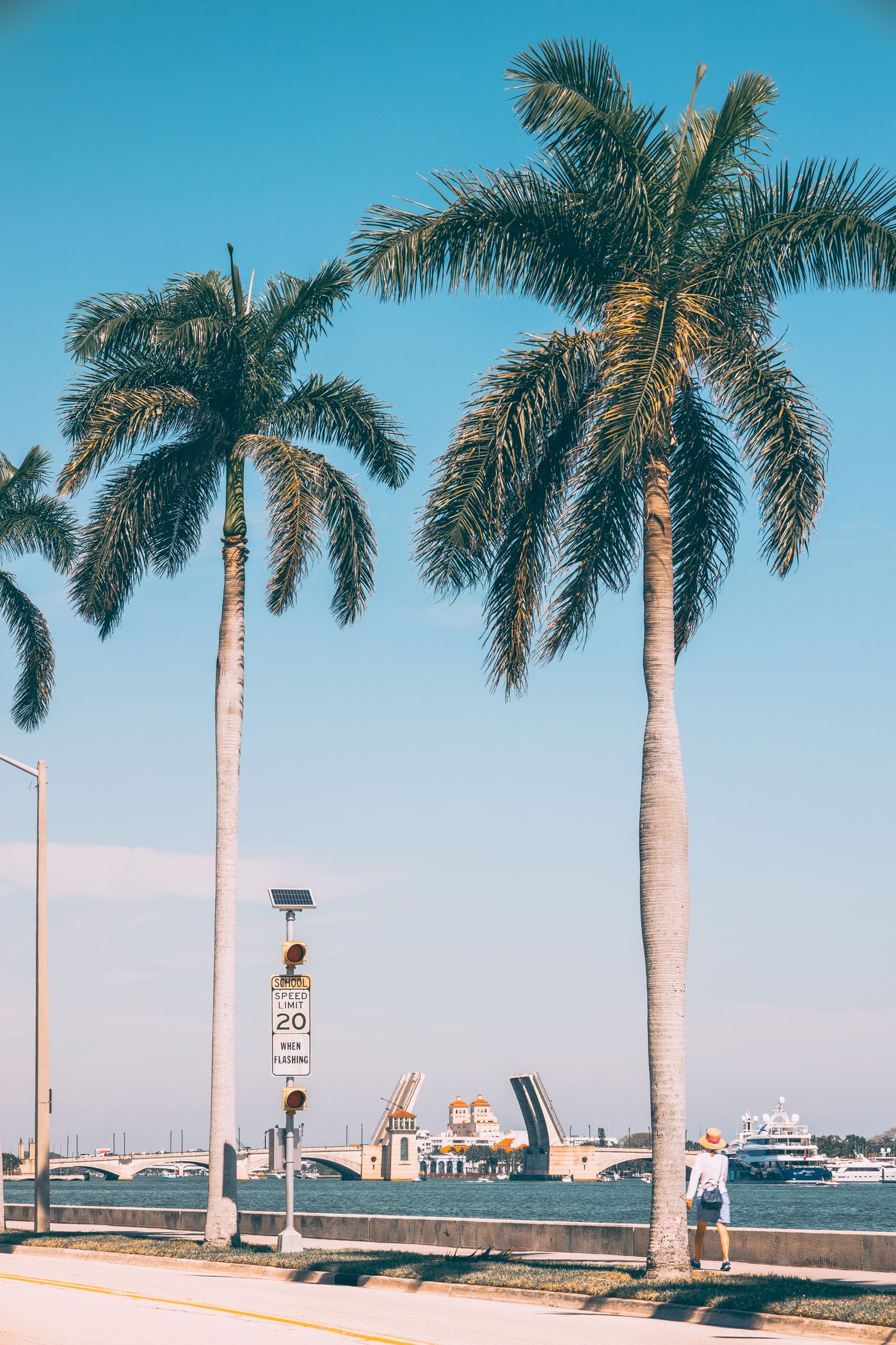 Paseo frente al agua bordeado de palmeras en West Palm Beach